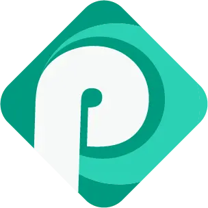 Pro Software Lab Logo